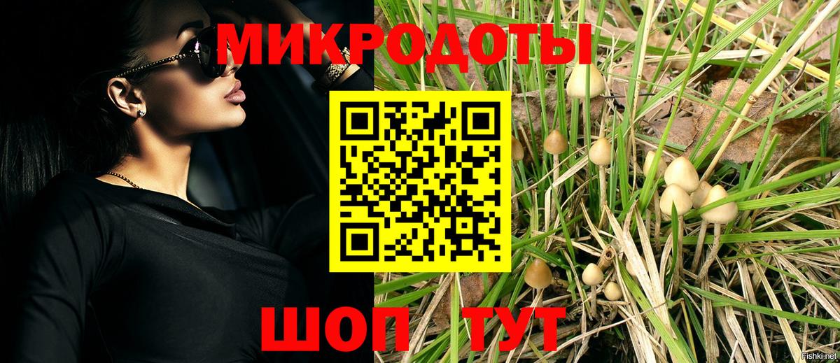 магазин продажи   Вход с VPN  Саянск  Псилоцибиновые грибы ЛСД 